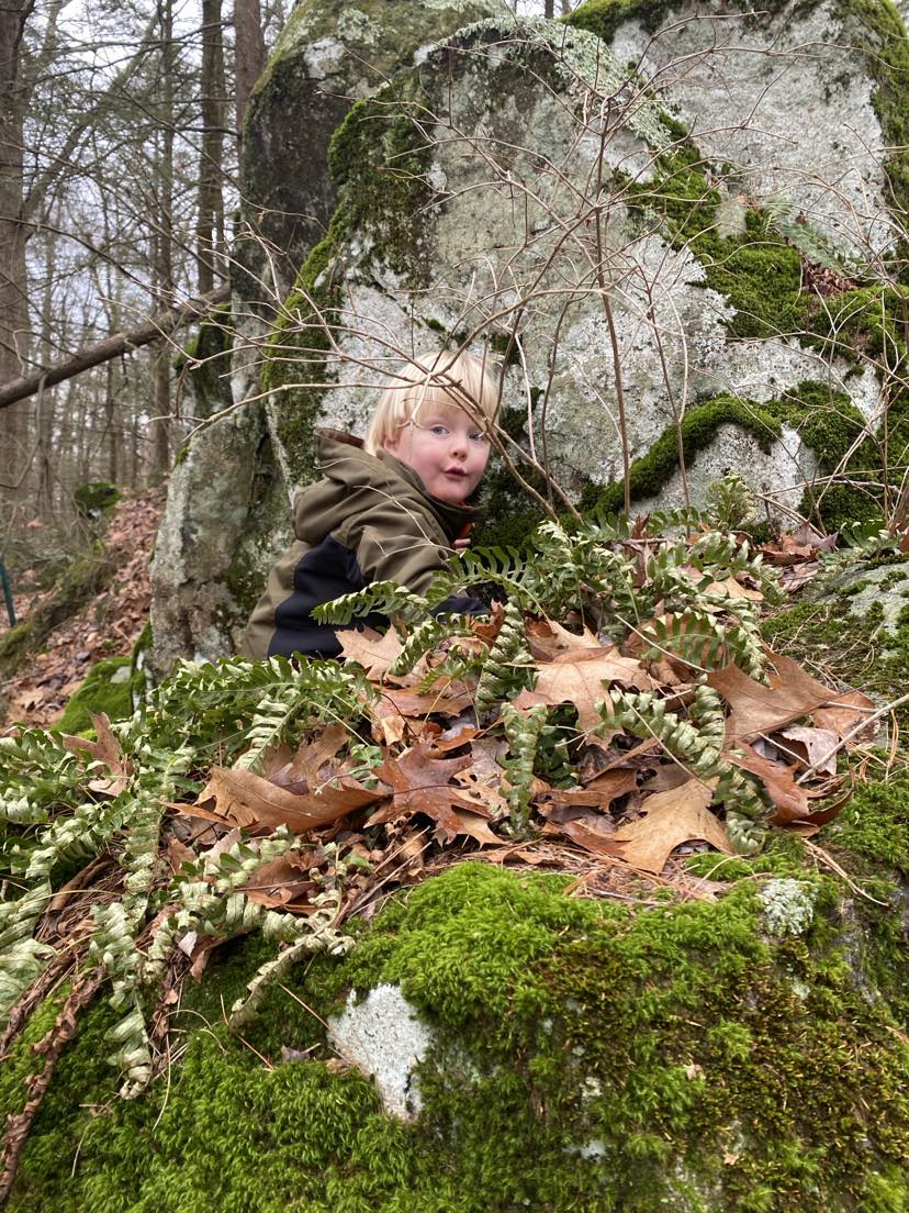 Tiny Trekking with Kelly Orr: Heron Pond event photo