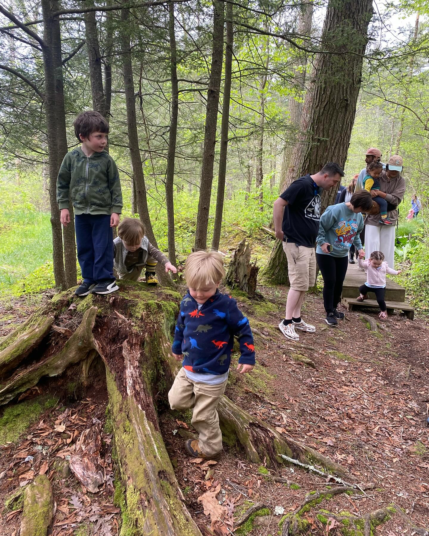 Tiny Trekking with Kelly Orr: Heron Pond photo 2