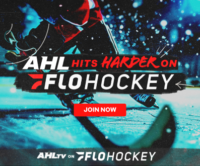 Hartford Wolf Pack vs Providence Bruins — Hockey photo 3