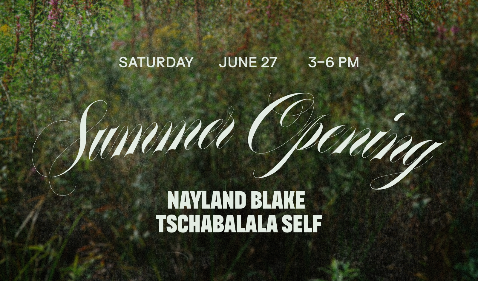 Summer Opening: Nayland Blake | Tschabalala Self at ART OMI in Ghent, NY event photo