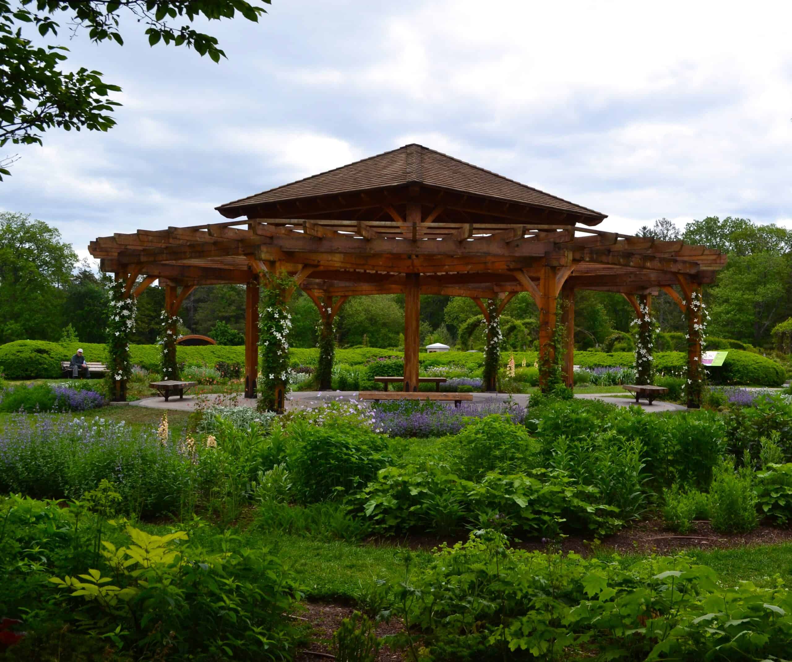 Perennial Garden Tour event photo