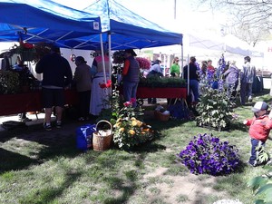 Ellington Farmers Market photo 3