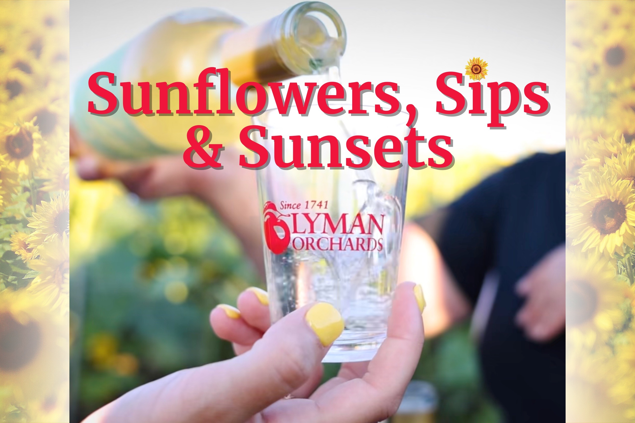 Sunflowers, Sips & Sunsets event photo
