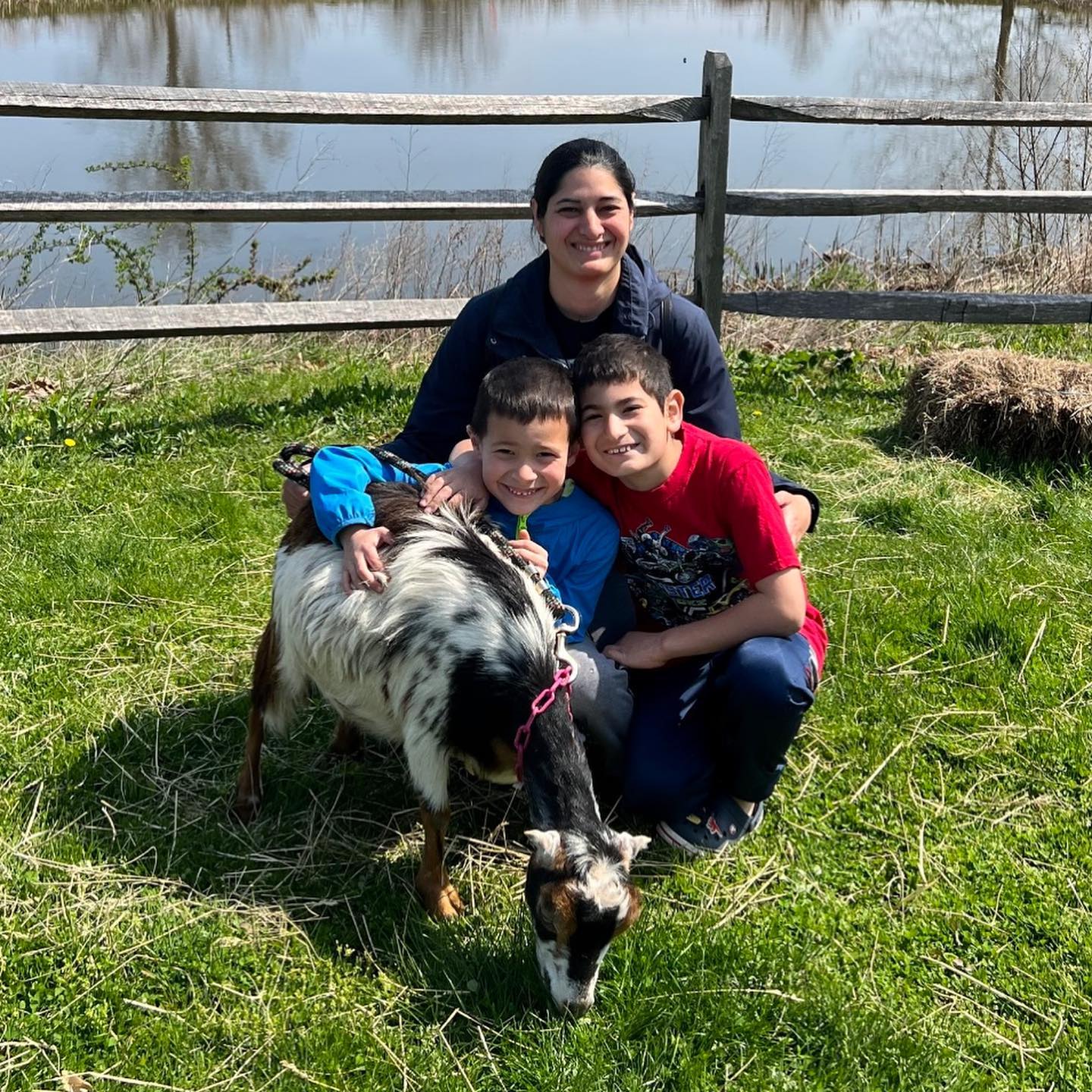 Goat Cuddle Brigade at Lyman Orchards event photo