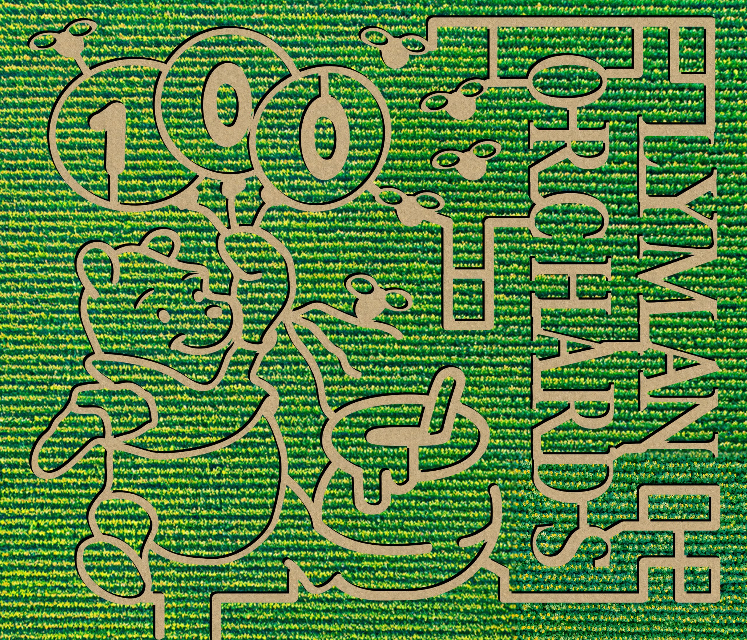 Sunflower Maze Opening Day Celebration at Lyman Orchards Apple Barrel Farm Market event photo