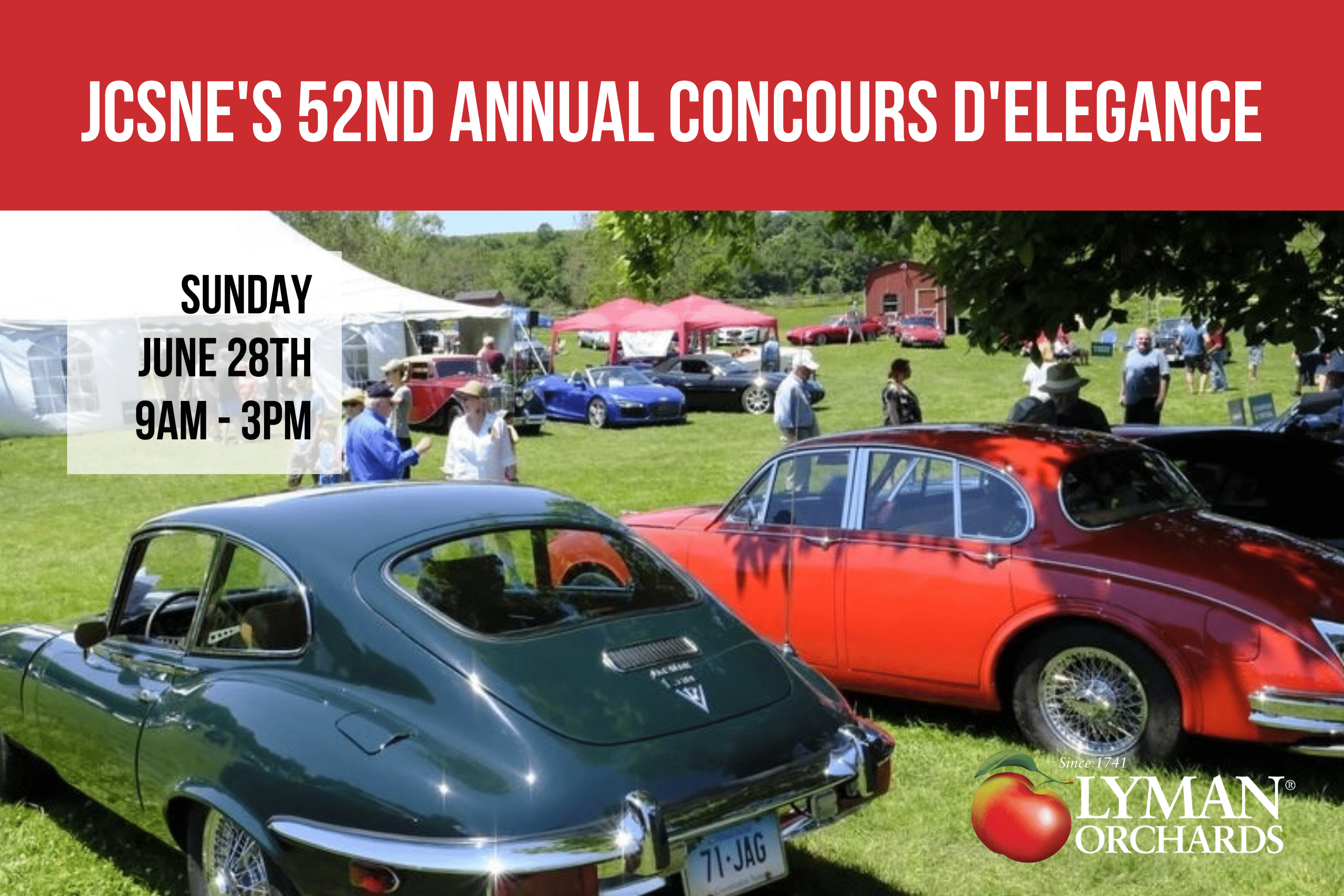 52nd Annual Jaguar Car Show at Lyman Orchards thumbnail