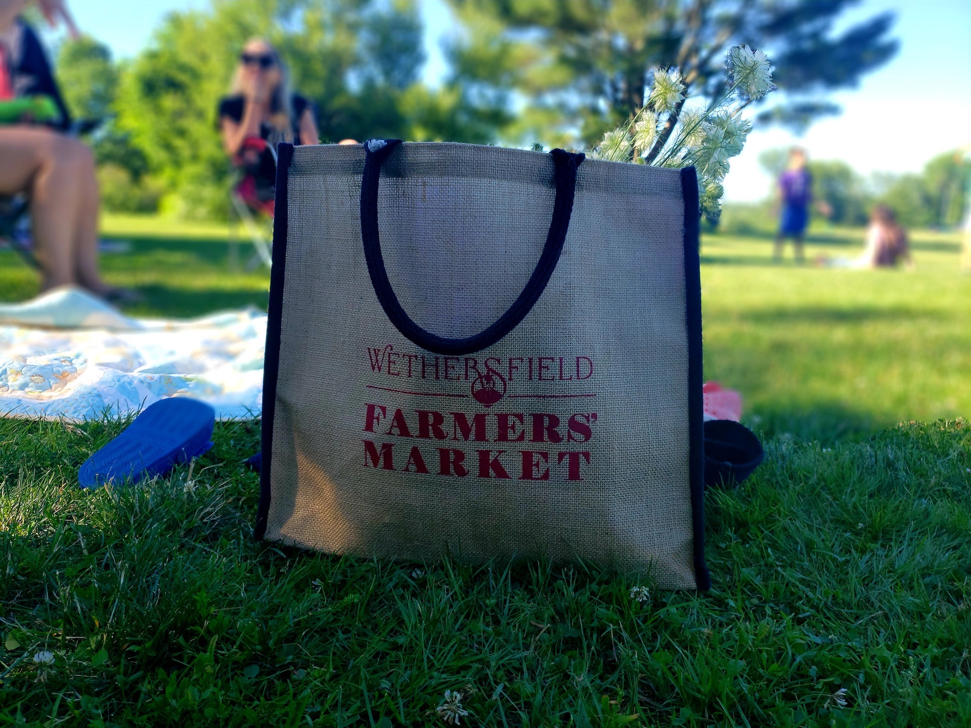 Wethersfield Farmers’ Market at Solomon Welles House thumbnail