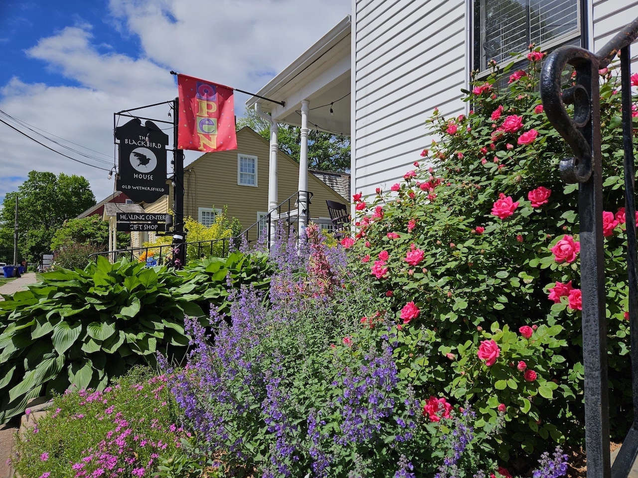 In Person Reiki Share at The Blackbird House thumbnail