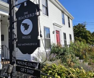 Shadow Work at The Blackbird House thumbnail
