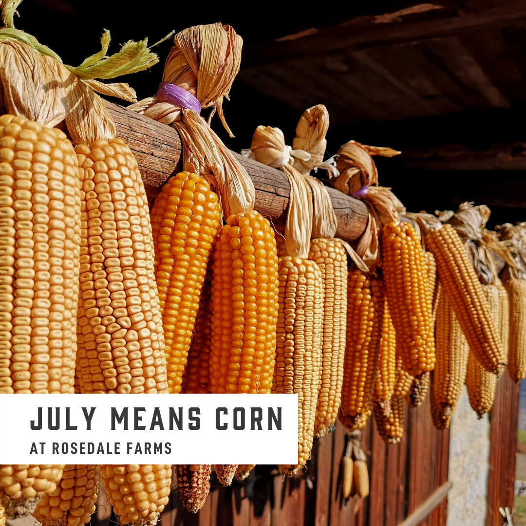 Max Chef to Farm - Corn! event image