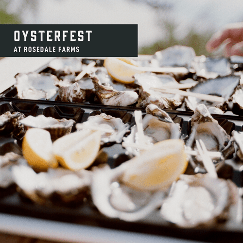 Max Chef to Farm - Oysterfest photo 2