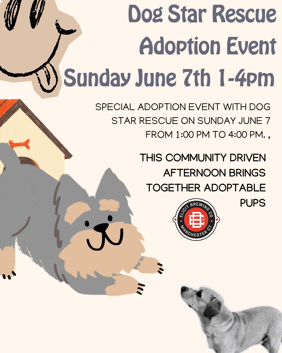 Dog Star Rescue Adoption Event Sunday June 7th 1-4pm thumbnail