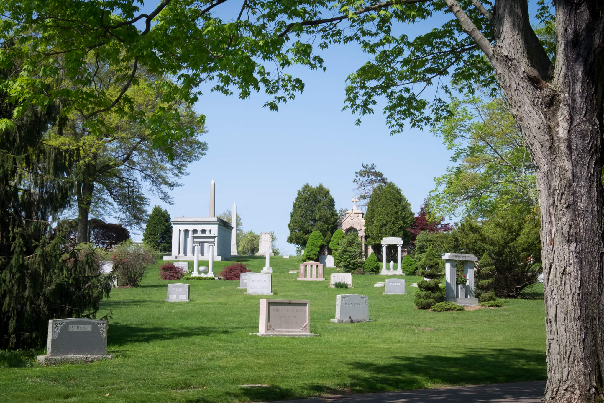 Eternal Homes of Cedar Hill thumbnail