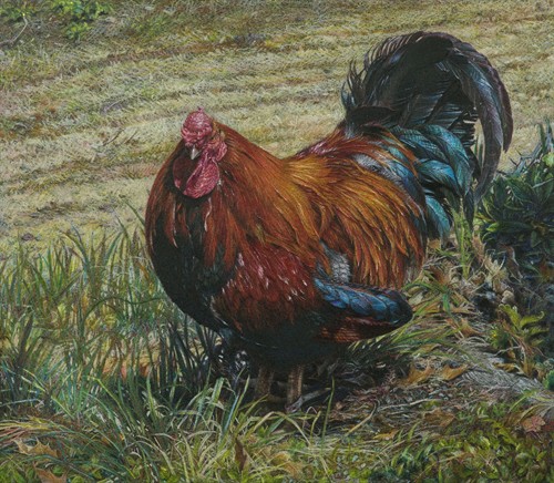 GROWN FROM HERE: Glastonbury Arts member art show and sale at Welles-Turner Memorial Library thumbnail