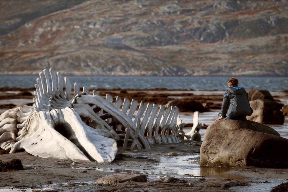 BLEAK WEEK: CINEMA OF DESPAIR - Leviathan event image