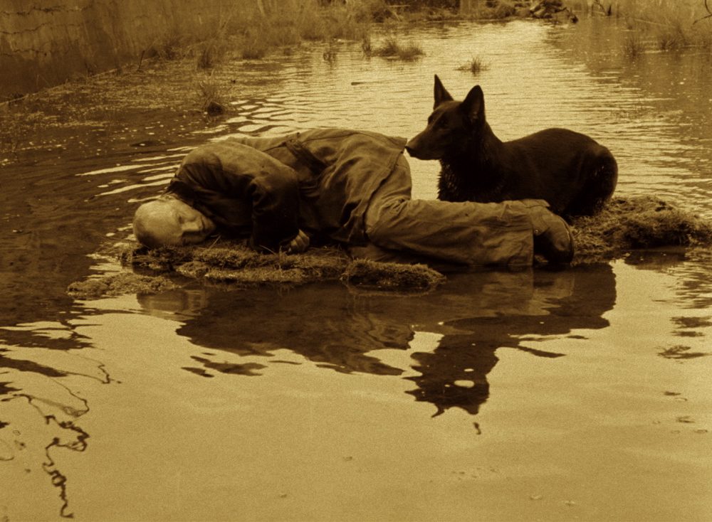 BLEAK WEEK: CINEMA OF DESPAIR - Stalker event image
