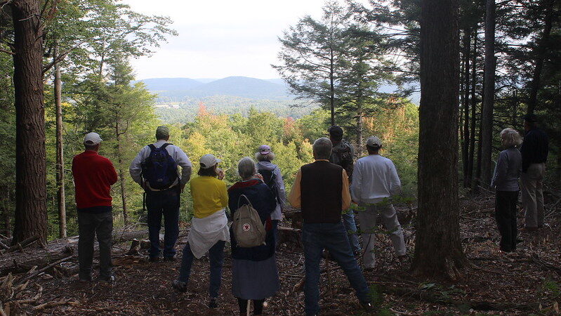 Nature Writing Retreat Great Mountain Forest thumbnail