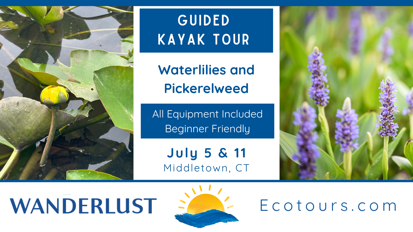 Guided Kayaking: Waterlilies and Pickerelweed Tour event photo