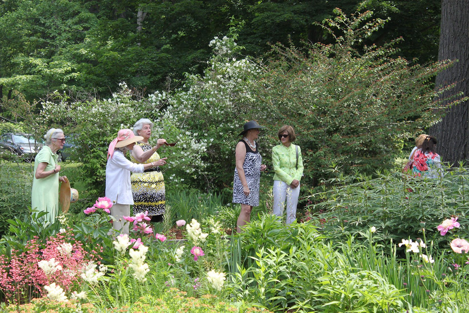 Garden Luncheon 2026 at Florence Griswold Museum thumbnail