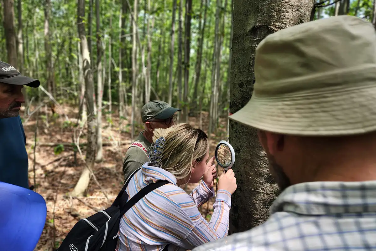 Master Woodland Manager 2026-27 Application Deadline thumbnail