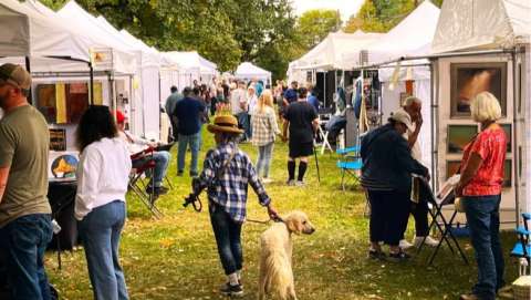 Fine Art Festival Sharon on the Green CT thumbnail