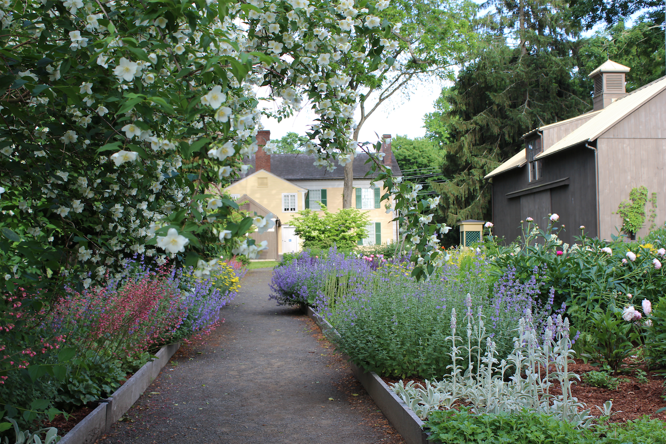 Connecticut’s Historic Gardens Day at Florence Griswold Museum thumbnail