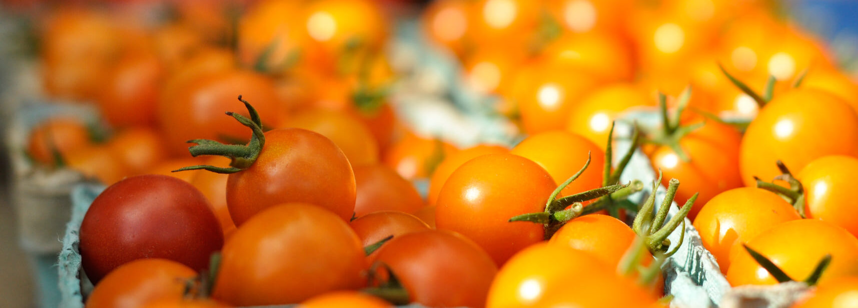 West End Farmers Market thumbnail
