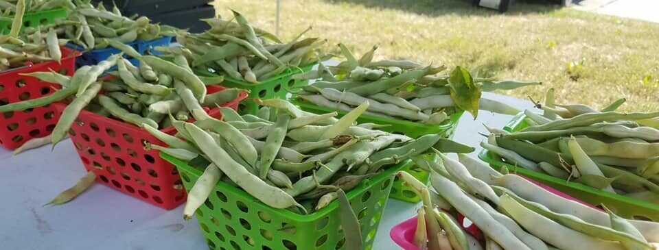 Farmers Market at Connecticut’s Old State House event photo