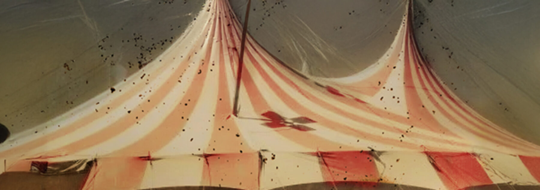 Circus Fire event image