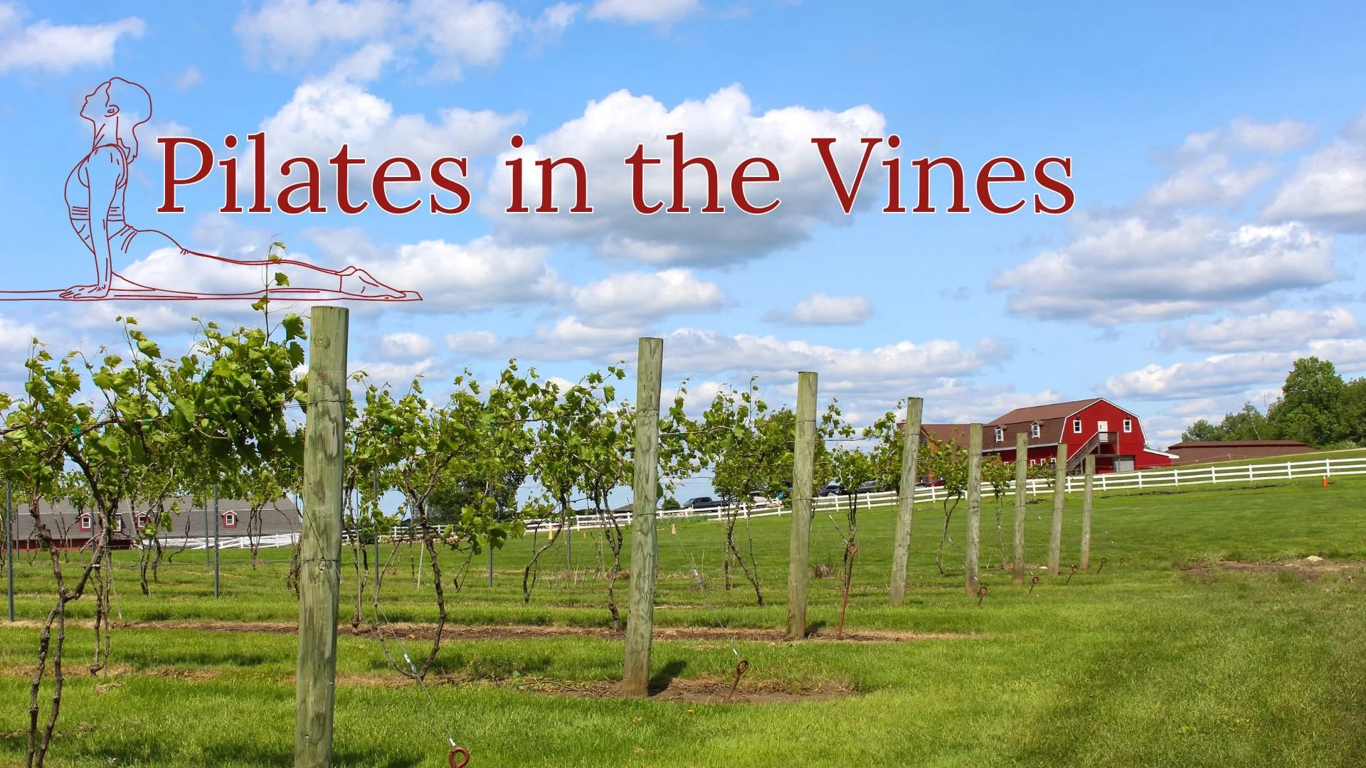 Pilates in The Vines event photo