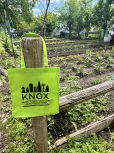 Hartford Farmers Market – Fresh Produce Every Monday at KNOX thumbnail