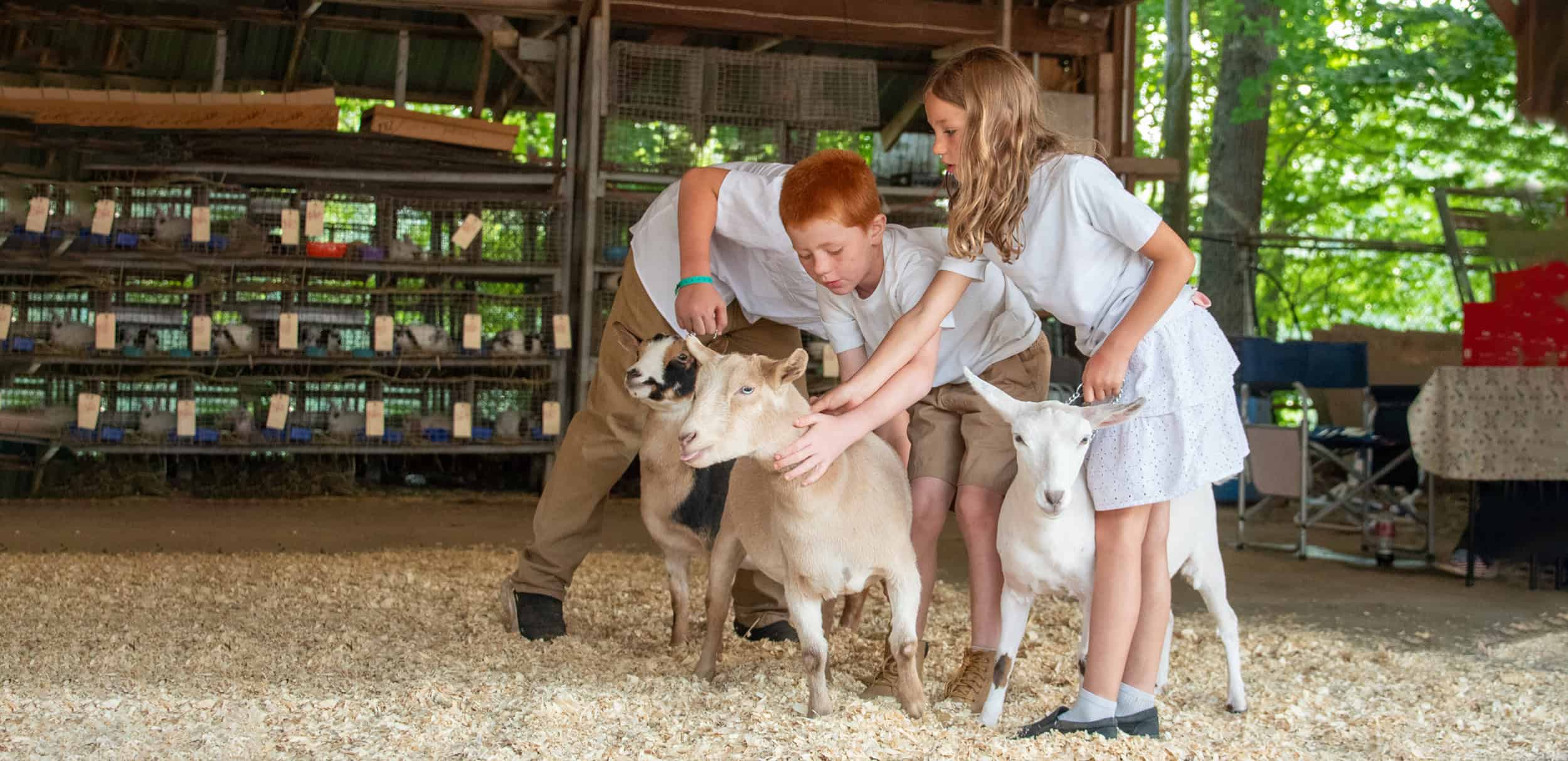 Goshen Fair - Sat 9/5 photo 2