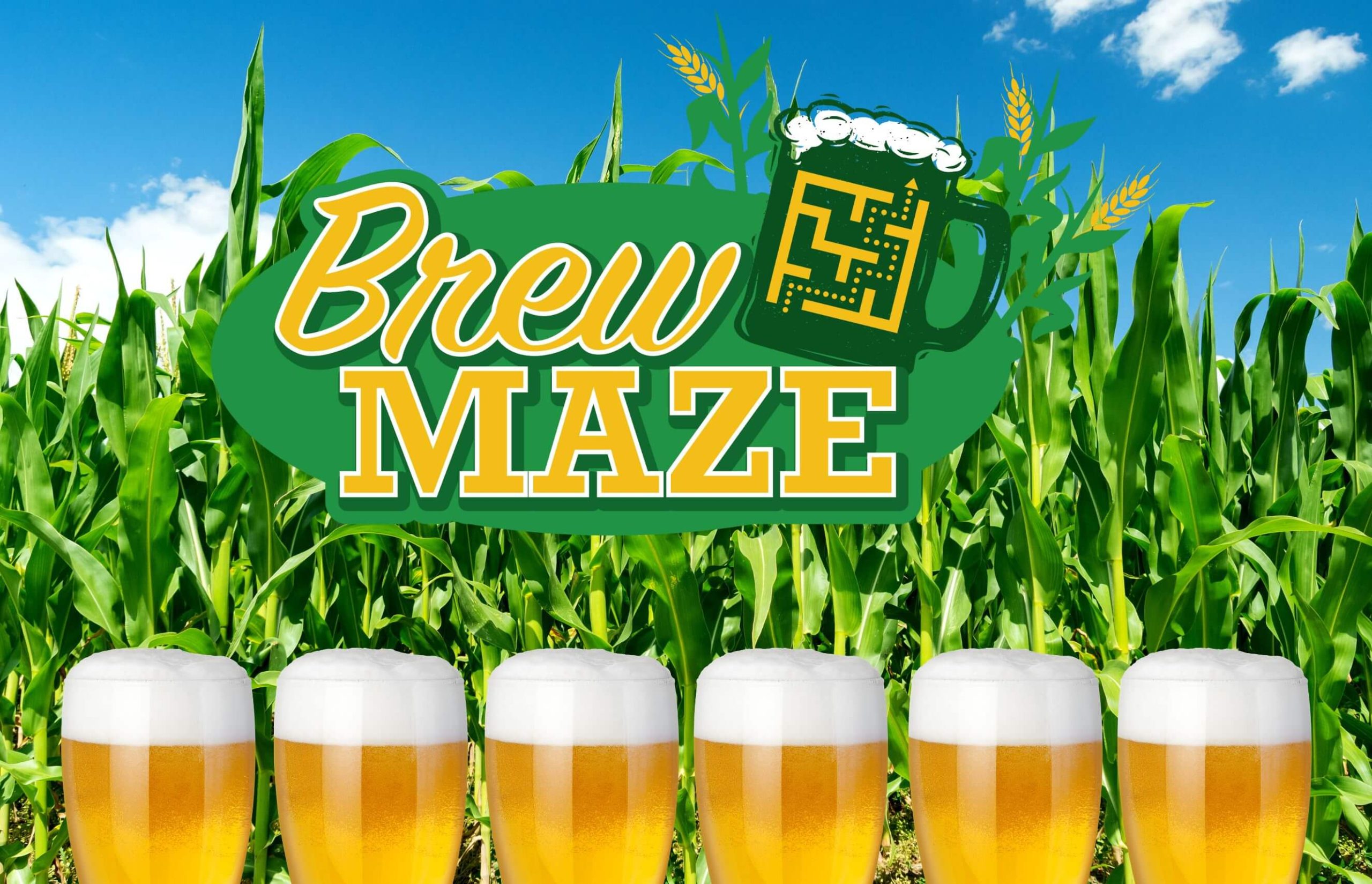 Brew Maze at Lyman Orchards Corn Maze event photo