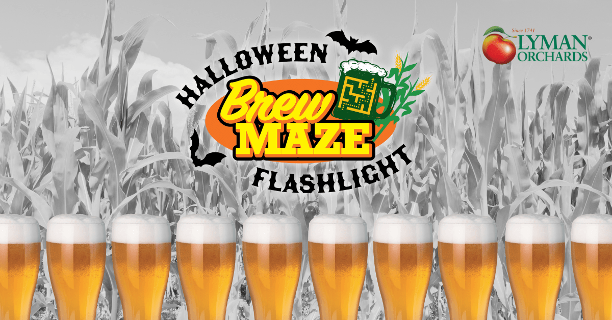 Halloween Brew Maze at Lyman Orchards Corn Maze event photo