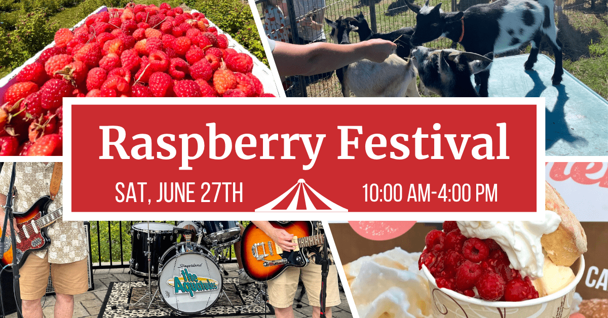 Raspberry Festival thumbnail