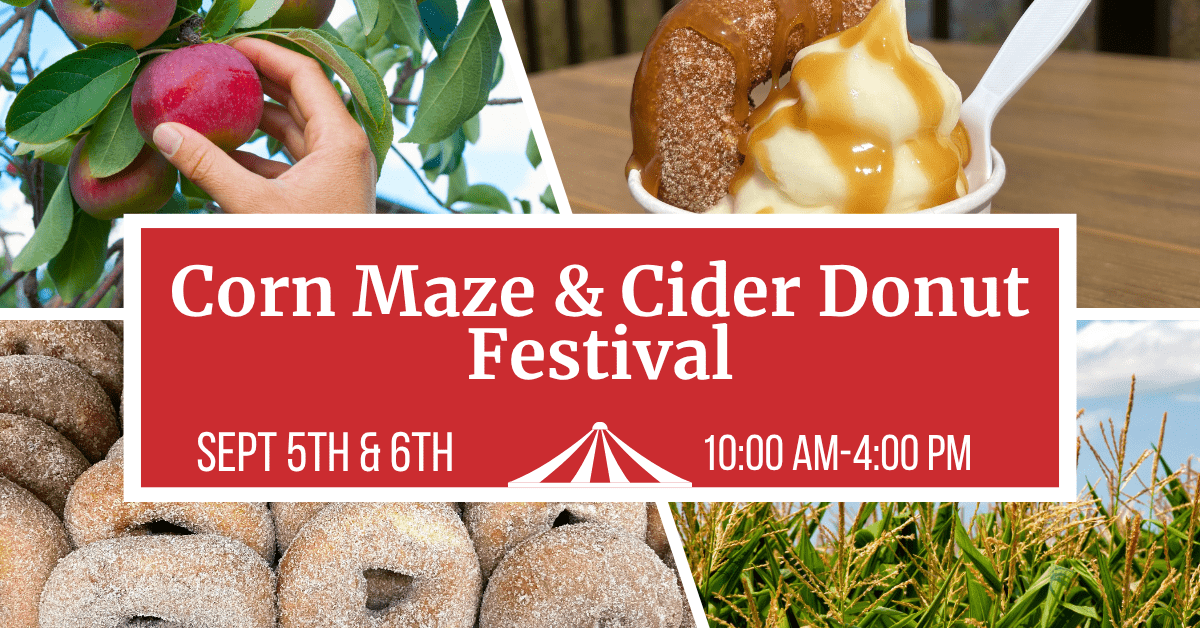Corn Maze & Cider Donut Festival thumbnail