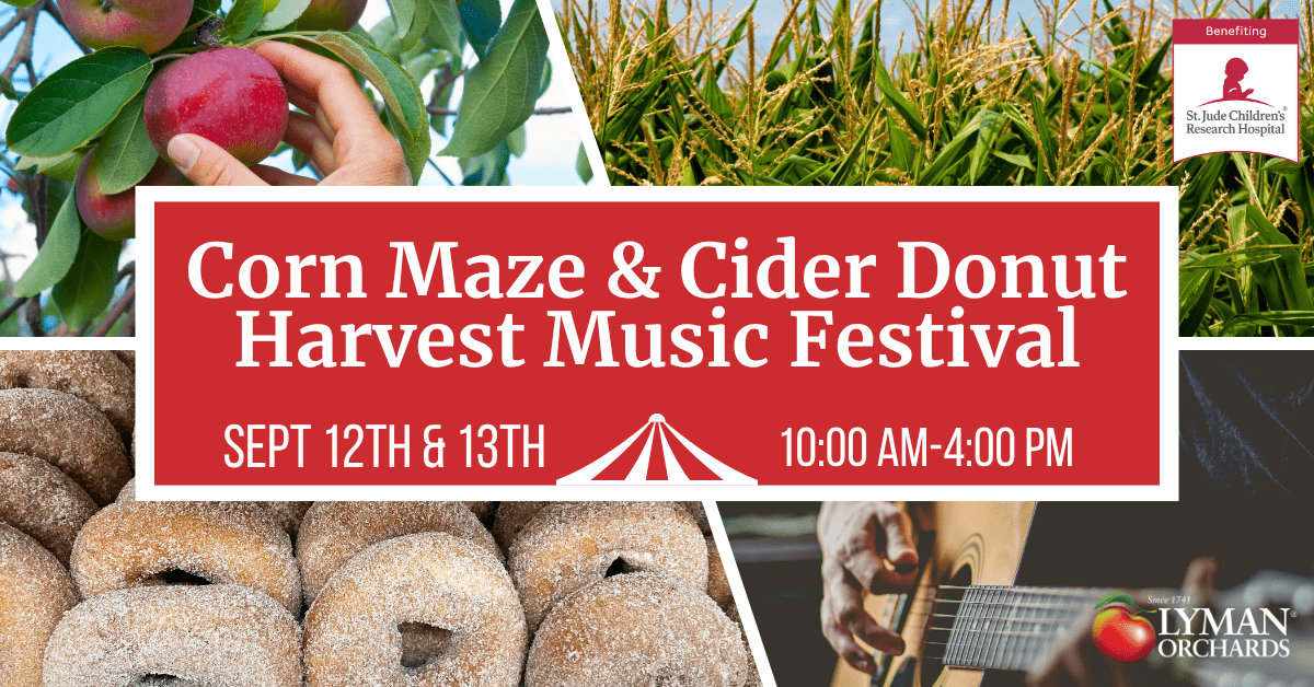 Corn Maze & Cider Donut Harvest Music Festival thumbnail