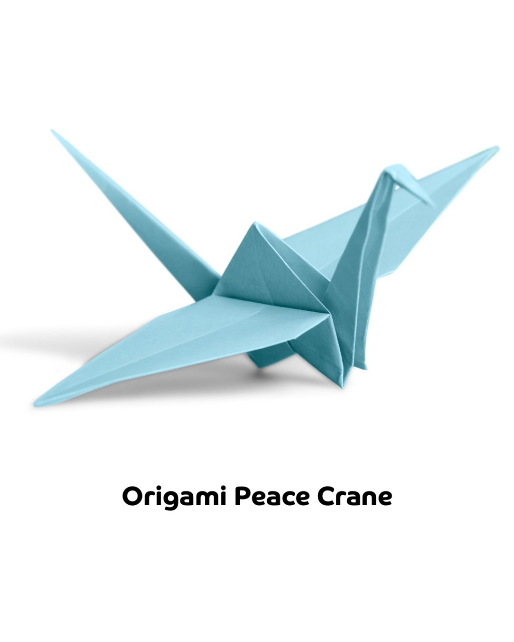 Peace Crane Folding at Self-directed event photo