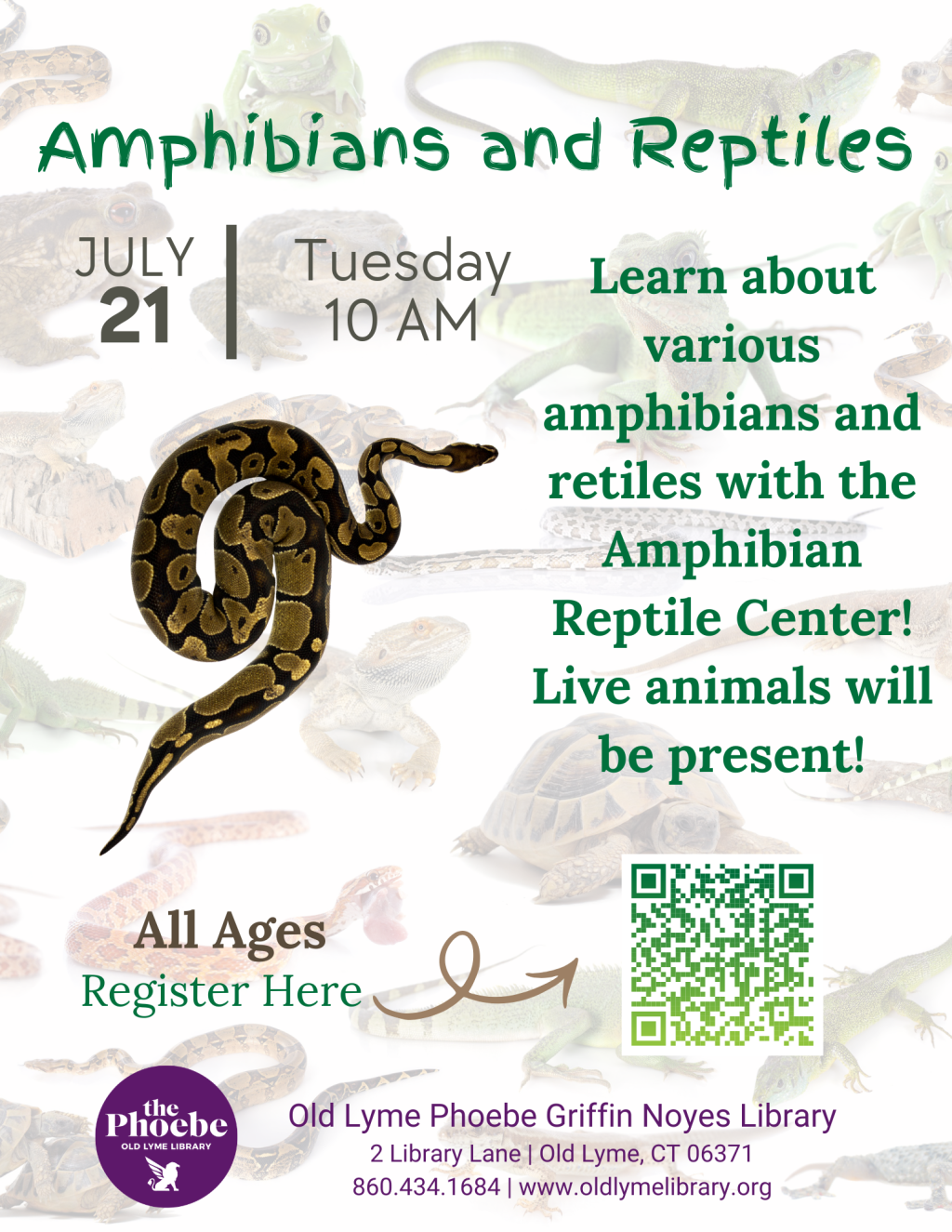 Amphibians and Reptiles at Old Lyme PGN Library event photo
