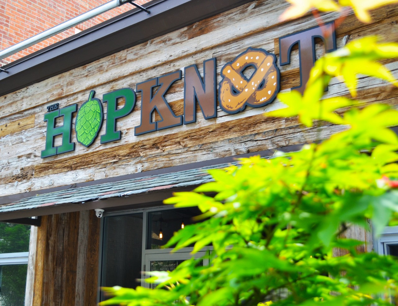 The Hop Knot logo