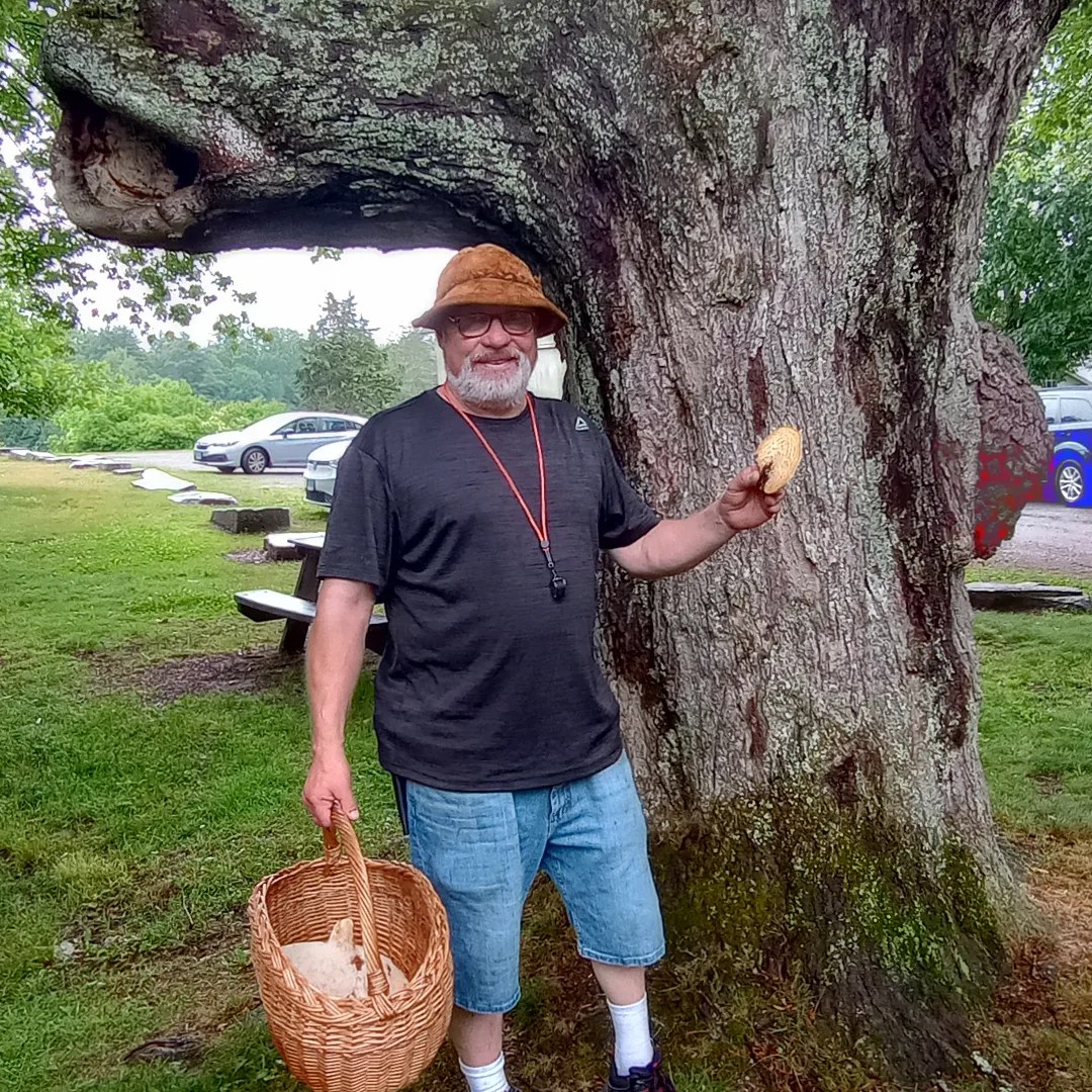 The Fungus Among Us with Dave Paton thumbnail