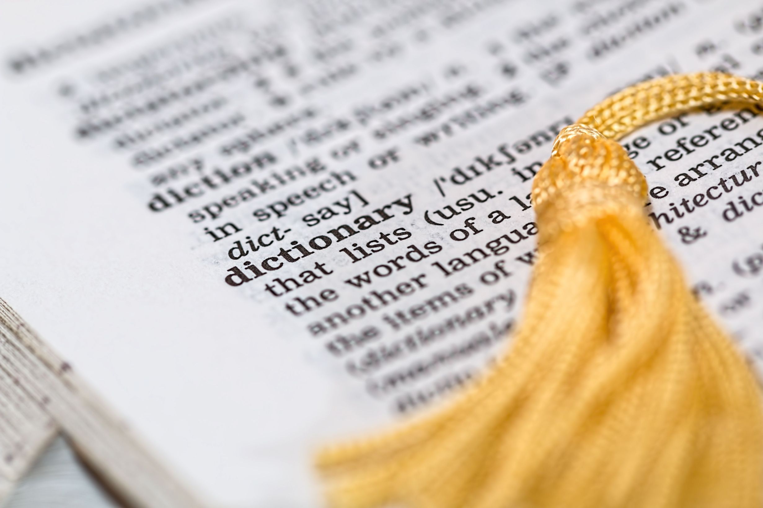 Scholars for Life: 2000 Years of Verbs thumbnail