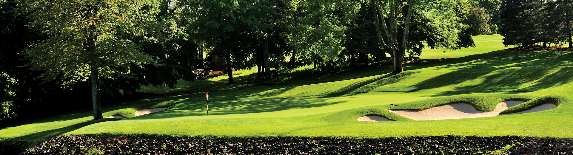 Stanley Park logo
