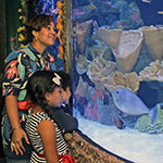 Visit the Mark Twain House & Museum event image